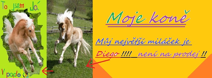 moji koně